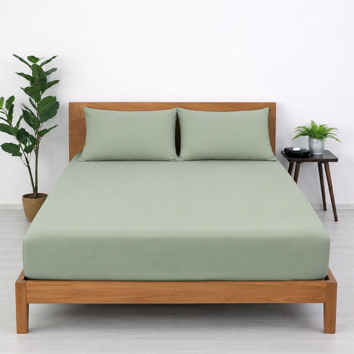 Sage Mist - StayTucked